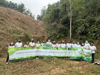 JTI Việt Nam tiên phong tổ chức hoạt động thu hoạch tre