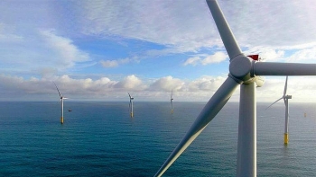 Tiềm năng hợp tác giữa Việt Nam và Đài Loan