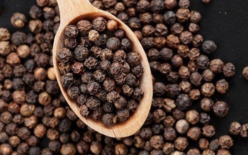 Giá tiêu hôm nay 5/11: Giá tiêu có thể tiến về gần mức 50.000 đồng/kg