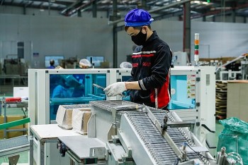 Kinh tế Việt Nam có thể tăng trưởng 7,3 – 7,6% trong năm 2022