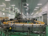 Công ty Long Hải thu mua sâm Fansipan giá cao cho nông dân Lào Cai