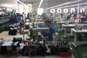 Ngành da giày sẽ tiếp tục tăng trưởng dù không có TPP