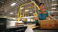 Viettel Post báo lãi ròng 380 tỷ đồng sau kiểm toán