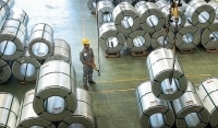 Hoa Sen không bị áp thuế chống lẩn tránh, chống bán phá giá của Mỹ