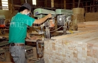 Ngành gỗ Bình Định: Quyết liệt nhiều giải pháp để phát triển bền vững
