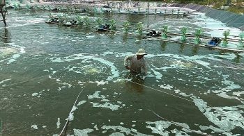 Đồng Nai: Sản lượng thủy sản phát triển tương đối ổn định