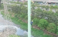 EVNHCMC đẩy nhanh tiến độ công trình điện