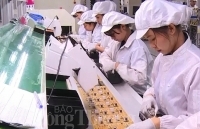 Vốn FDI Nhật Bản “đổ mạnh” vào Bình Dương