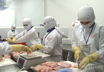 Kinh tế TP. Hồ Chí Minh sẽ tăng nhanh trong quý 4/2020