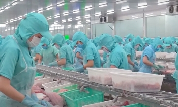 Đồng Tháp từng bước phục hồi sản xuất công nghiệp