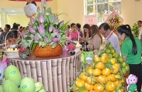 Đồng Tháp: 70 sản phẩm OCOP đạt hạng từ 3 - 4 sao trong năm 2019