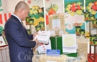 Bình Phước: Năm 2019 kinh tế đạt mức tăng trưởng cao nhất