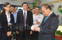 Tiền Giang: Ngành công nghiệp chế biến, chế tạo đóng vai trò chủ chốt