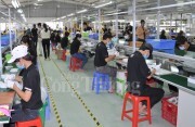 Đèn LED Duhal - giải pháp sử dụng năng lượng tiết kiệm, hiệu quả