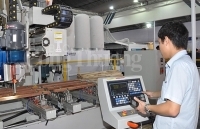 Đồng Nai, Bình Dương- Năm 2019 phấn đấu giữ vững vị thế xuất siêu