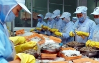 Chính sách kịp thời của Bộ Công Thương giúp doanh nghiệp xuất khẩu vượt bão Covid-19