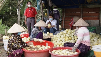 Đồng bằng sông Cửu Long: Đẩy mạnh kết nối thu mua, tiêu thụ nông sản