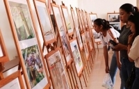 Triển lãm hơn 400 tác phẩm phim và ảnh xuất sắc về cộng đồng ASEAN tại Cần Thơ