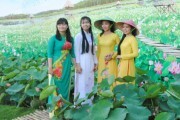 Ngày Hội Sen- xây dựng thương hiệu \