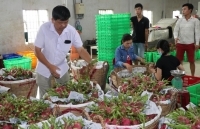 Long An và ngành Công Thương phía Nam: Tìm phương án 