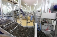 Bạc Liêu: Xuất khẩu tăng so với cùng kỳ, chủ yếu là mặt hàng thủy sản