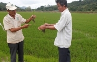 Đắk Lắk: Xây dựng nông thôn mới gắn với tái cơ cấu nông nghiệp