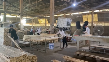 Thị xã Quảng Trị đẩy mạnh phát triển công nghiệp - tiểu thủ công nghiệp