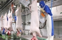 Đồng Nai: Đưa vào hoạt động nhà máy chế biến thực phẩm 7 triệu USD