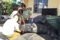 Quản lý thị trường TP. Hồ Chí Minh phát hiện, xử lý 534 vụ vi phạm tháng 1/2019