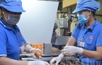 Kêu gọi người tiêu dùng “giải cứu” gia cầm vì rớt giá quá thấp