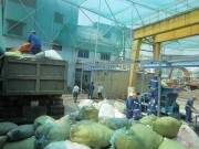 TP. Hồ Chí Minh: Lại phát hiện một cơ sở giết mổ heo trái phép