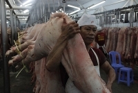 Miền Nam quyết liệt khoanh vùng dập dịch tả lợn châu Phi