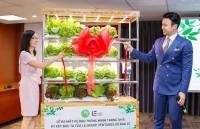 Hợp tác sản xuất kệ rau thông minh trong nhà