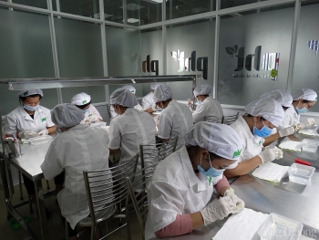 Sản phẩm quà tặng Tết Tân Sửu từ nhung hươu