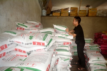 Người chăn nuôi miền Trung lao đao vì giá thức ăn tăng chóng mặt