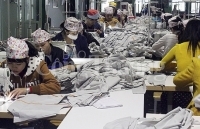 Kim ngạch xuất khẩu hàng hoá của Nghệ An tăng 10,7% trong quý I