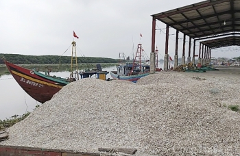 Ô nhiễm tại cảng cá Lạch Vạn Nghệ An - S.O.S