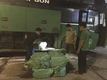 QLTT Nghệ An: Tiêu hủy 1.174kg sản phẩm động vật không rõ nguồn gốc
