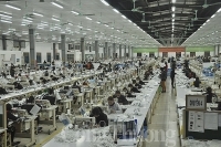 Nghệ An: Kim ngạch xuất khẩu hàng hóa 6 tháng đầu năm tăng 11,24%