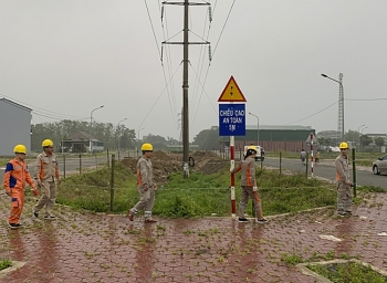 Nghệ An: Cảnh báo nguy cơ sự cố do vi phạm hành lang an toàn lưới điện