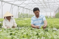 Nghệ An huy động hơn 30 nghìn tỷ đồng xây dựng nông thôn mới