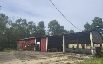 Hà Tĩnh: Hàng loạt dự án “rùa bò”, có dễ thu hồi?