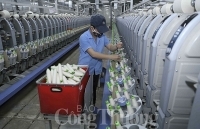 Hà Tĩnh: Xuất khẩu tháng 8 cao nhất từ đầu năm