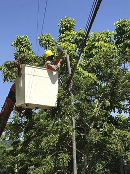 PC Nghệ An: Điện thương phẩm Quý III/2020 tăng 16% so với cùng kỳ 2019