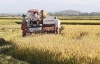 Nghệ An: Bộ mặt nông thôn mới có nhiều khởi sắc