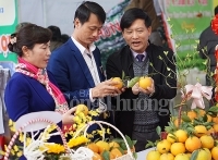 Nghệ An khuếch trương thương hiệu cho quả Cam