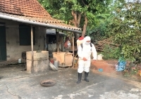 Thừa Thiên Huế công bố hết dịch tả lợn châu Phi