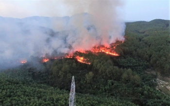 TTĐ Thừa Thiên Huế: Nỗ lực vận hành lưới điện an toàn trong điều kiện thời tiết nắng nóng, cháy rừng