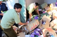 Thừa Thiên Huế tiêu hủy hơn 23 tấn hàng lậu, hàng giả