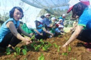 Hữu cơ Huế Việt - Khởi nghiệp từ tâm